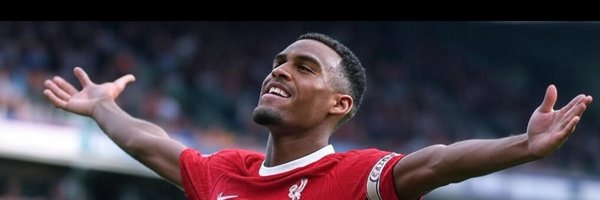 PLSvearike Profile Banner