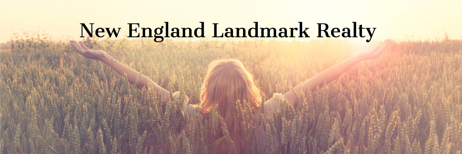 nelandmark's profile banner image