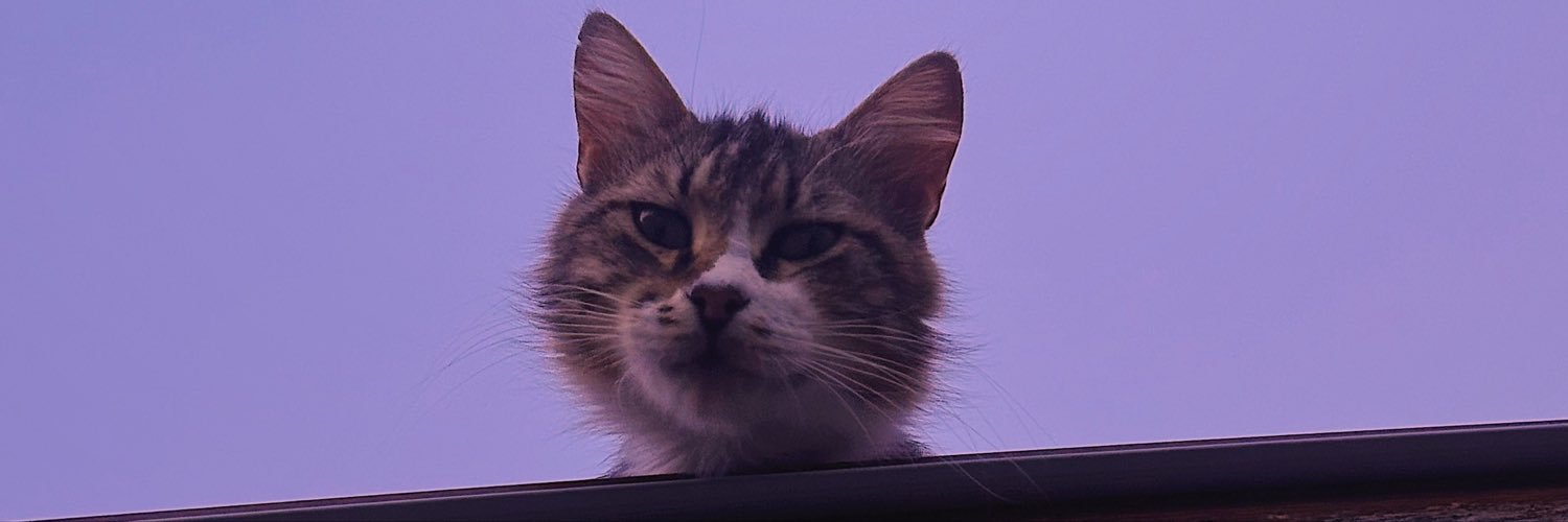 damlaskywalkerr's profile banner image