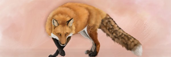 DovesB_ Profile Banner