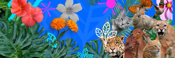 GuerrerasxAM Profile Banner