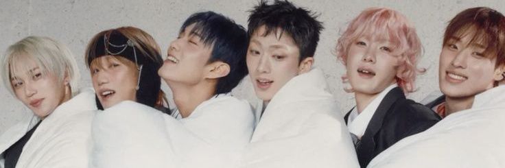 roman vio a piwon banner