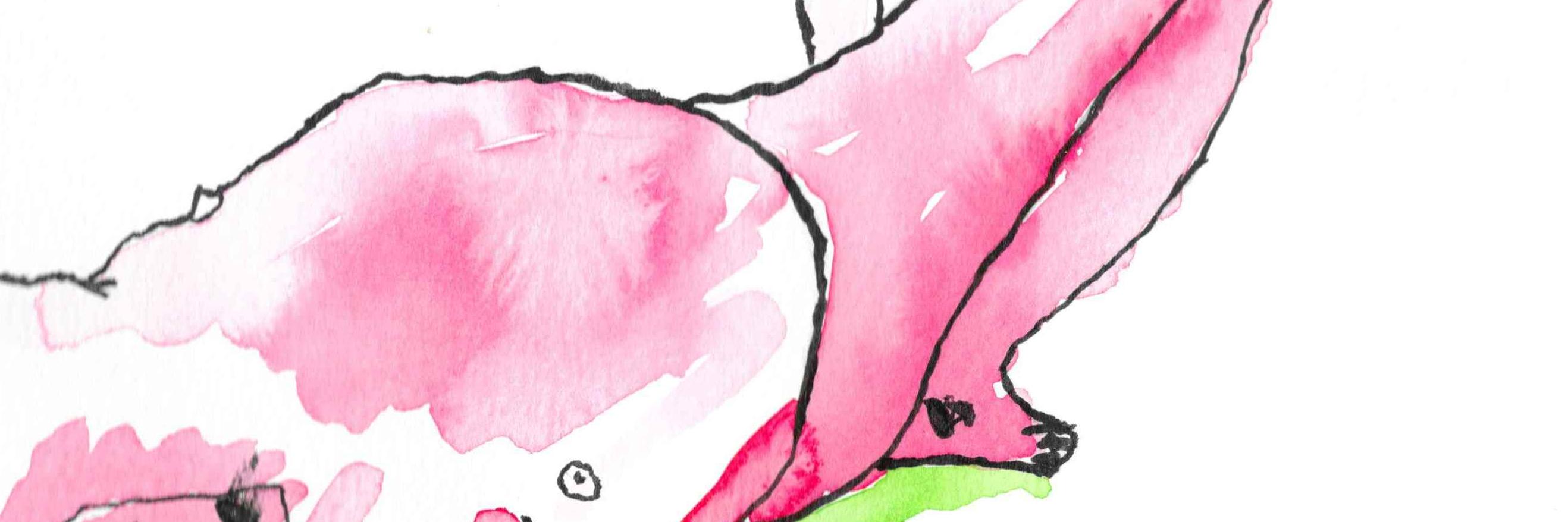 bramspiero's profile banner image