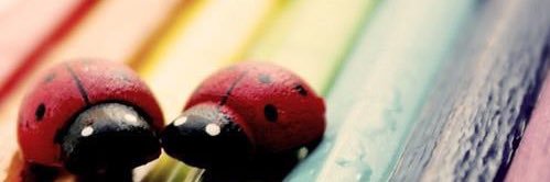 sandraayma's profile banner image