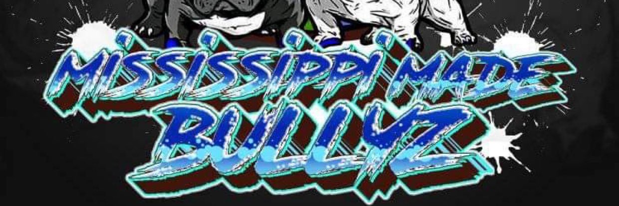 Big_HitGaMing banner