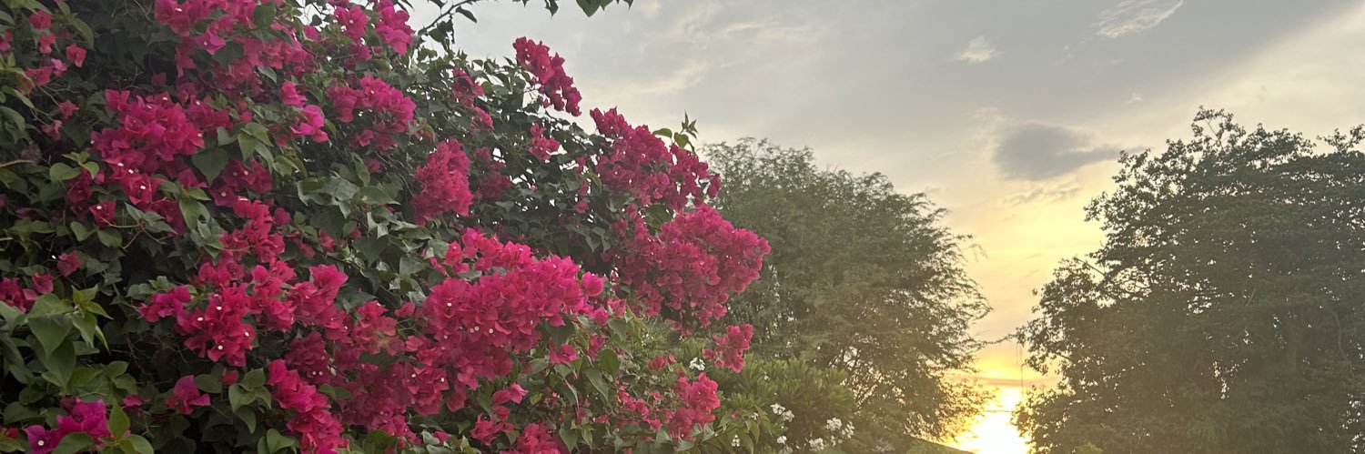 ‎♡^ྀི̥ ⩊ ̥^ྀི♡ banner