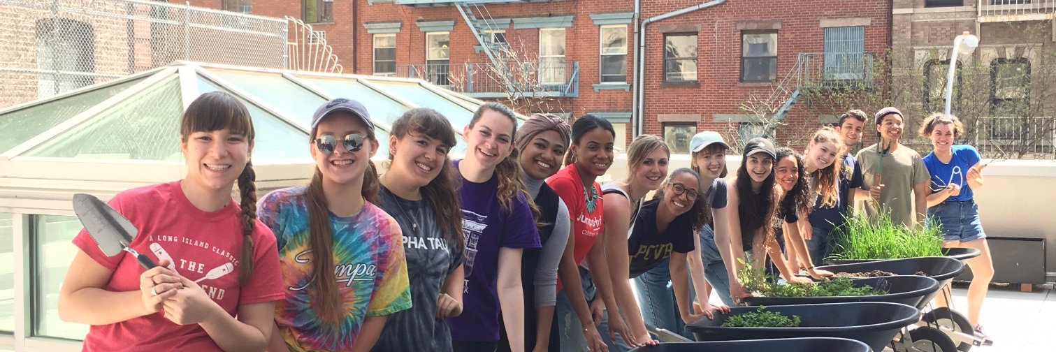 Jumpstart NYU banner