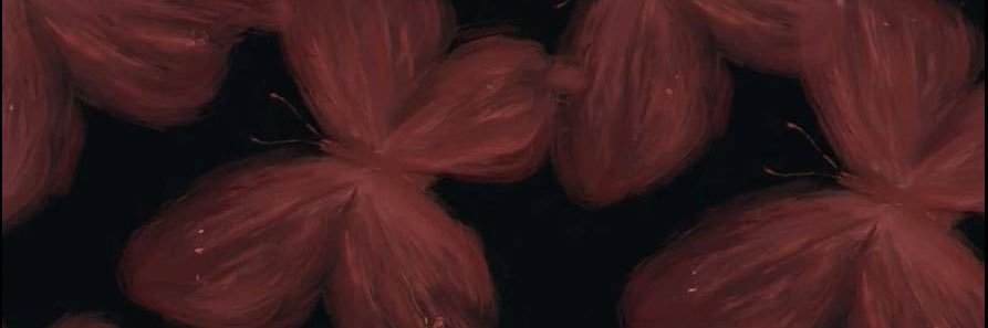 بيو بيو 🔫 banner