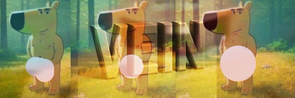 veinvariance Profile Banner