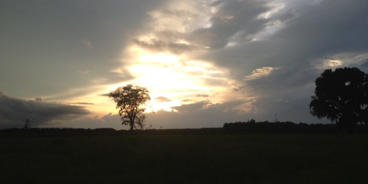 adamw227's profile banner image