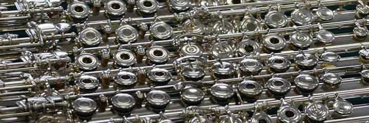 RaleighFlutes's profile banner image