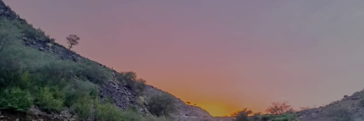 sa banner