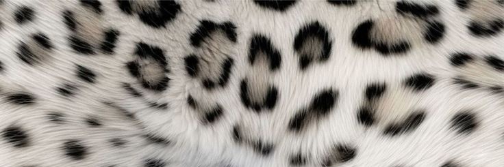 ceceadoreu's profile banner image