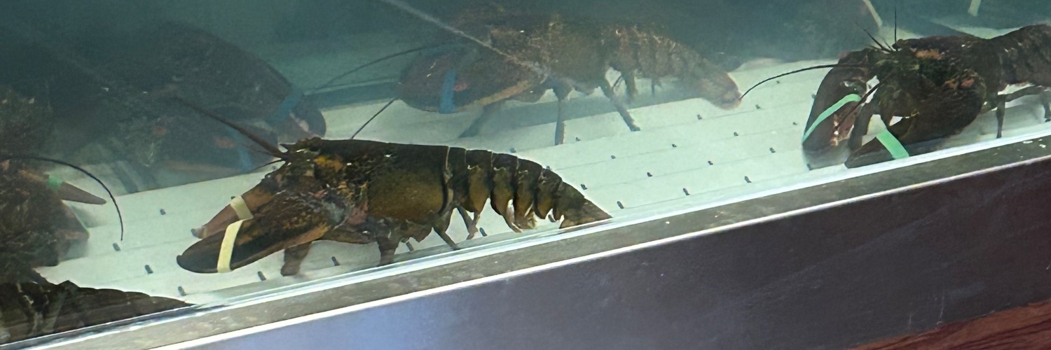 Charlie from Wisconsin banner