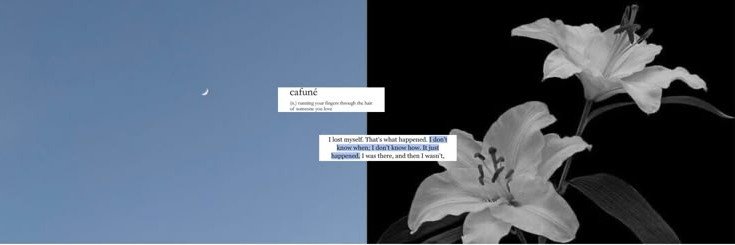 _dmonsang's profile banner image