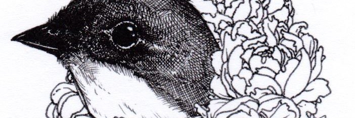 𝙰𝚗𝚍𝚒 banner