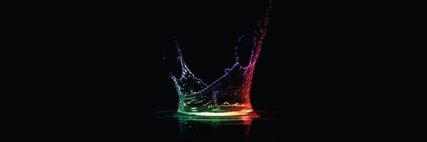 negin1760 Profile Banner