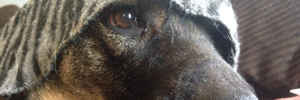 Kaurisma's profile banner image