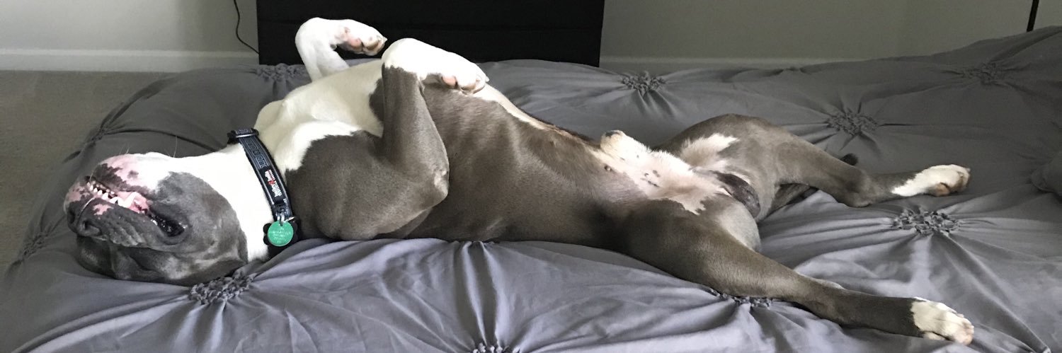 Boomer Fechko banner