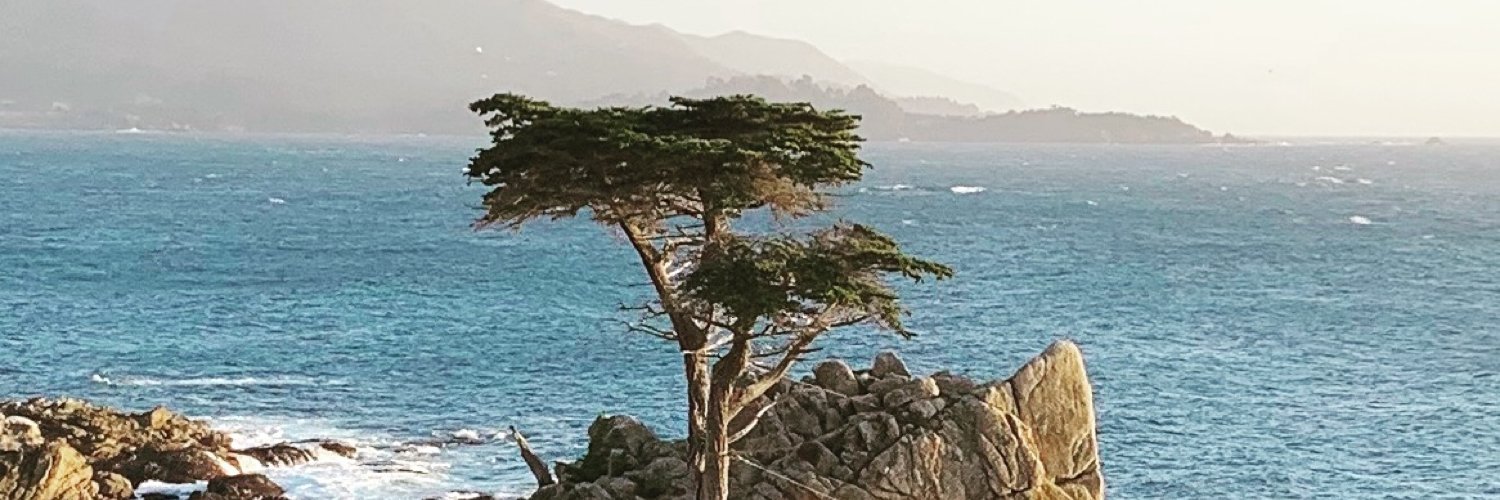 bryanbucklew's profile banner image