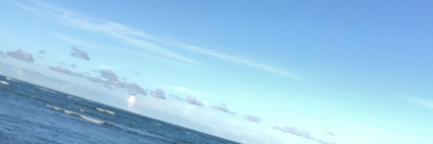 eliocasstrob's profile banner image