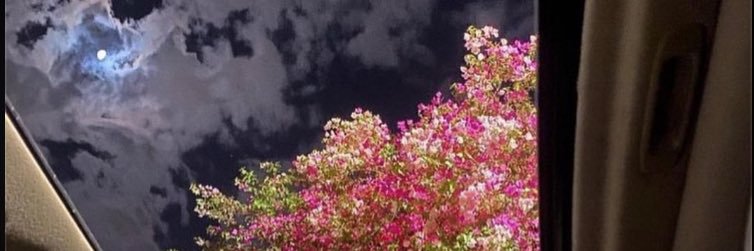 pceinmind_'s profile banner image