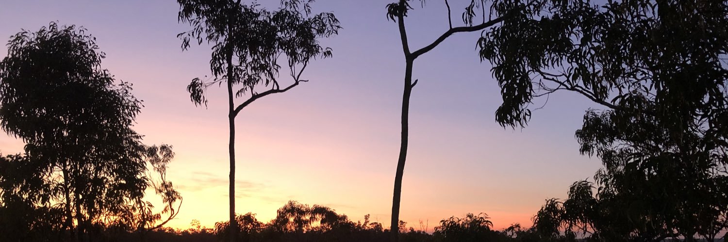 Fiona Cornforth banner