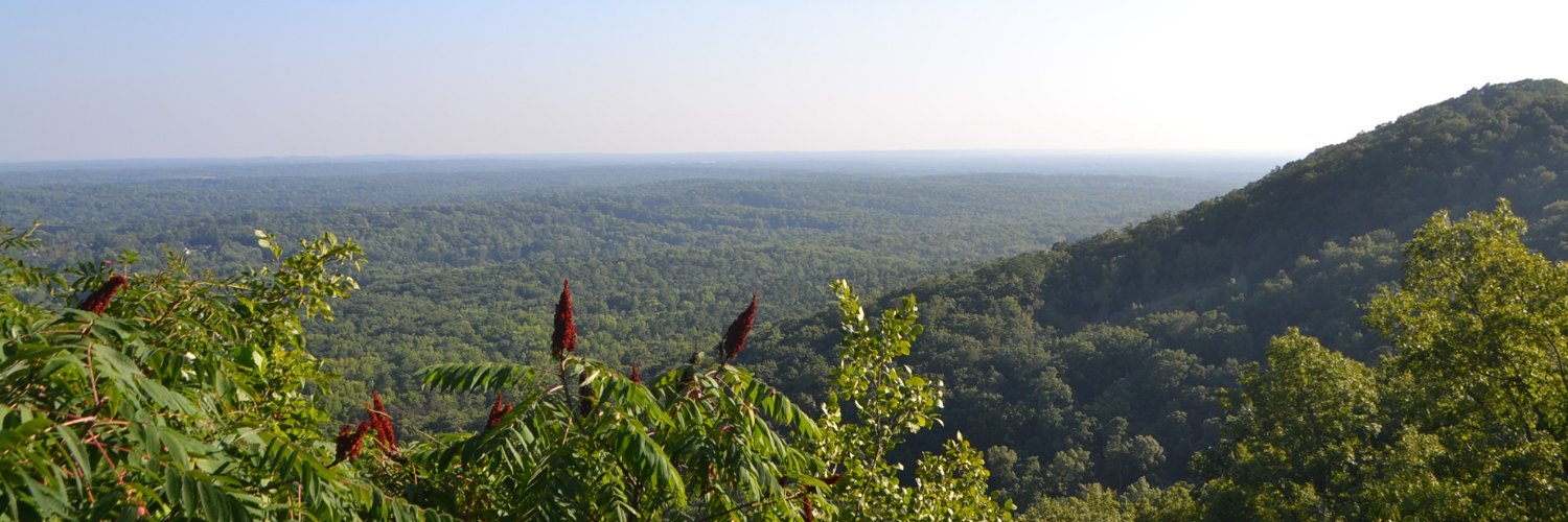 thoscole's profile banner image