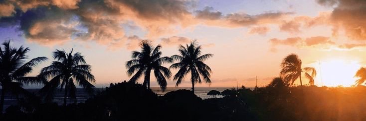 PRIVATE X banner
