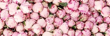 ThatGrlVictoria's profile banner image