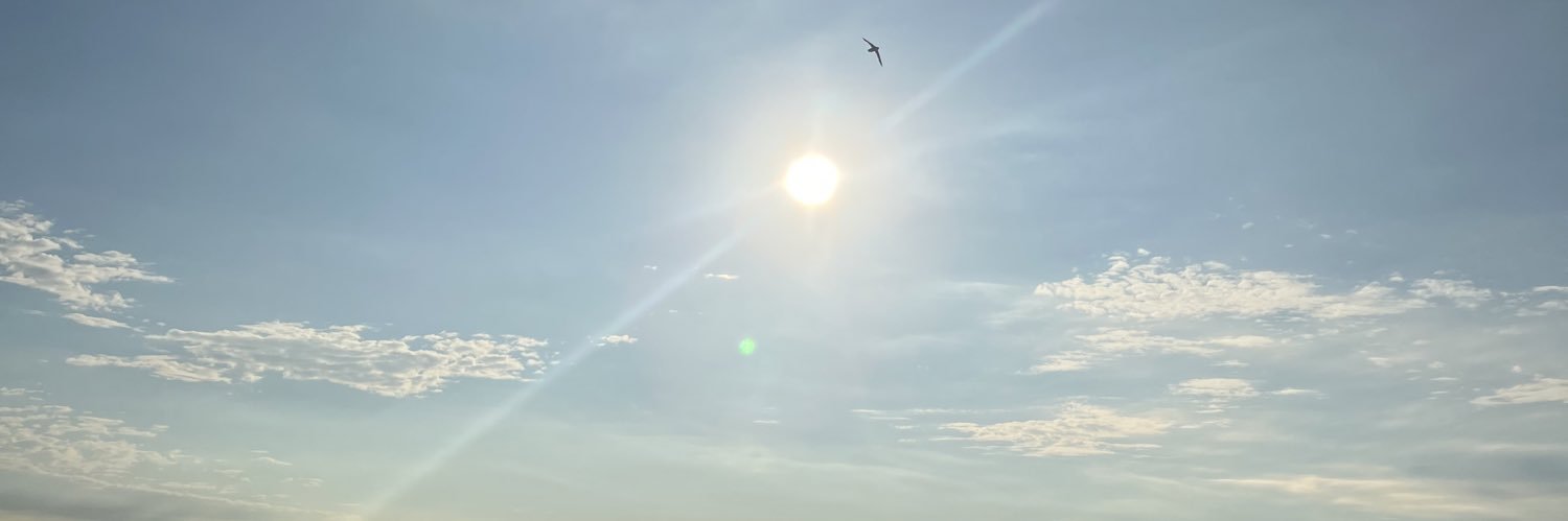 WhosDaMack1's profile banner image