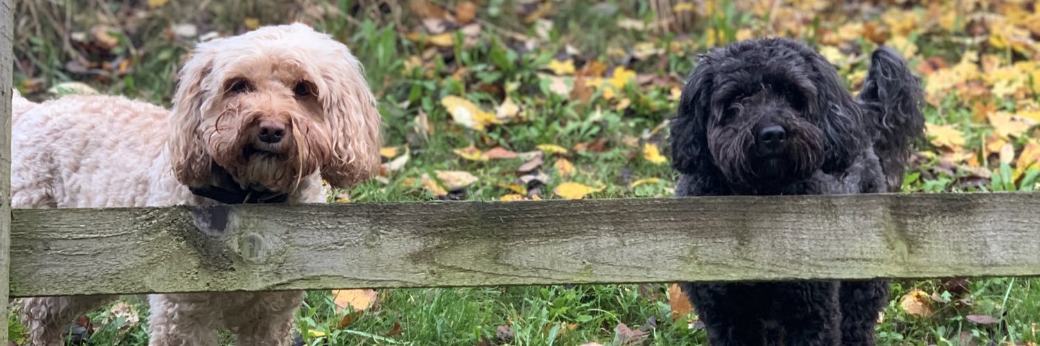 Newty71's profile banner image