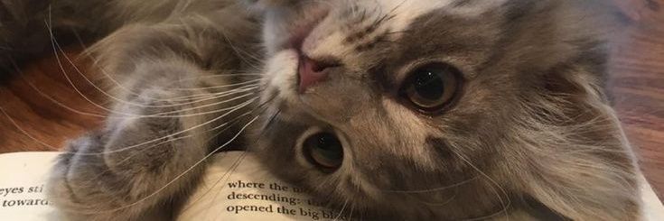 lip banner