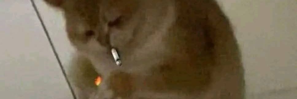 Galadriel 2.0 banner