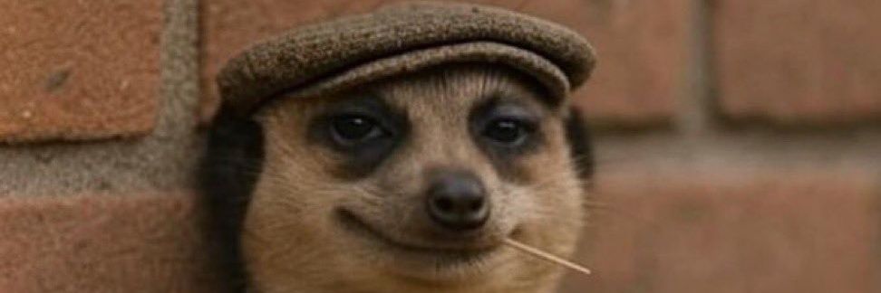 OMO EKO PATAKI 🦇🦇🦇 . banner