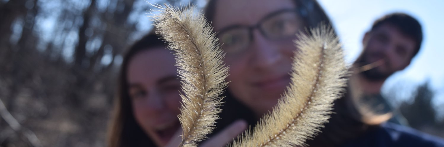 m0llify's profile banner image
