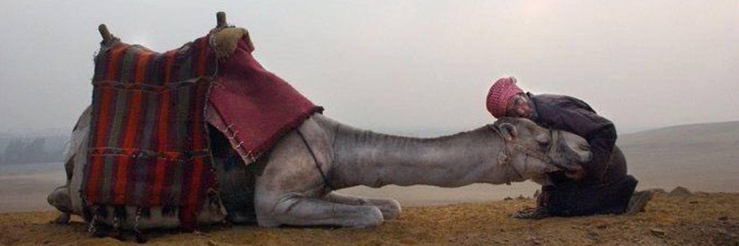 عبدالله. banner