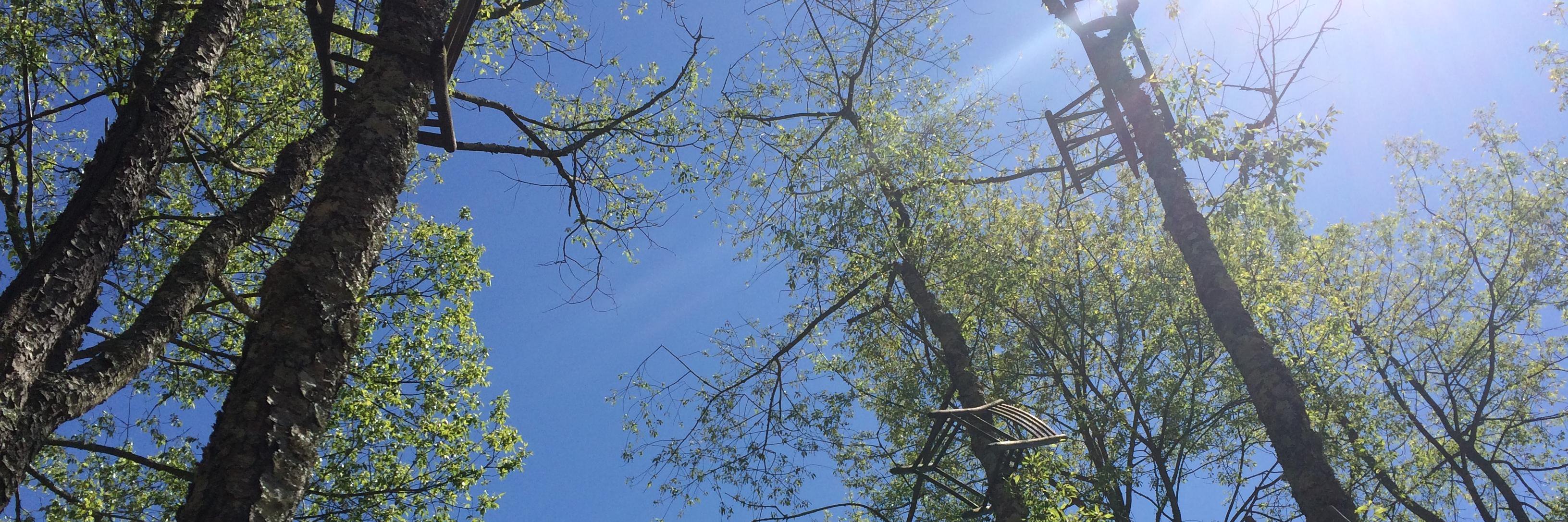 Kevin McClain banner