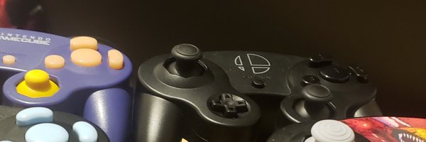 WarblersGuy Profile Banner