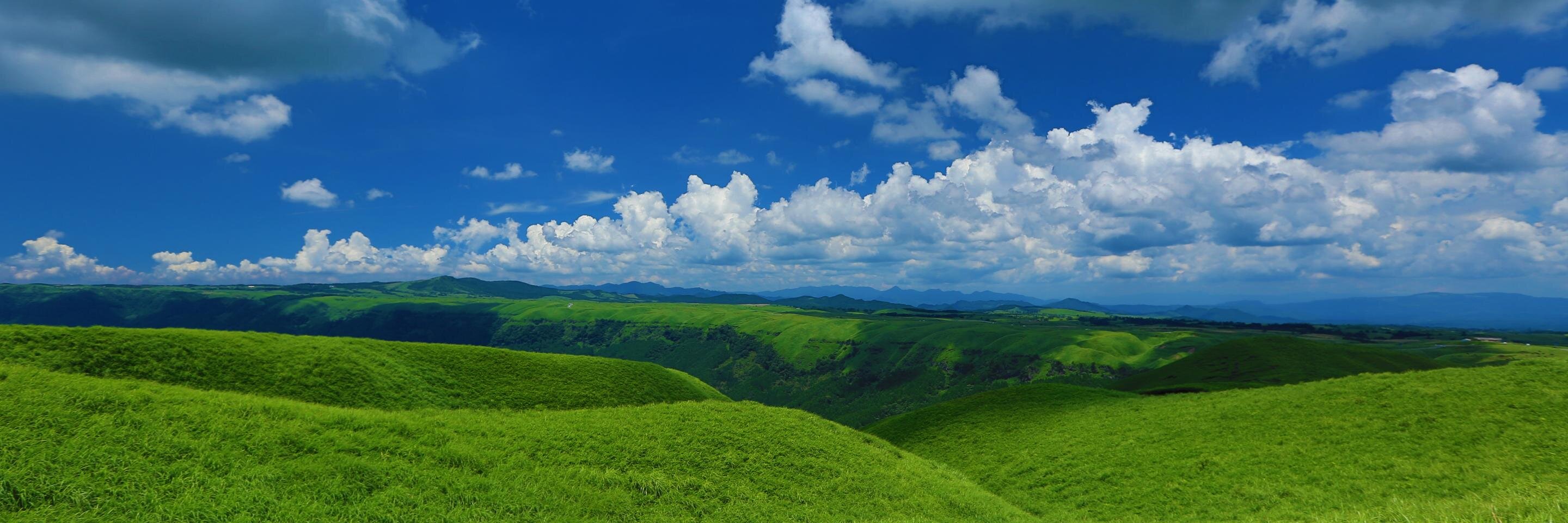taneume's profile banner image