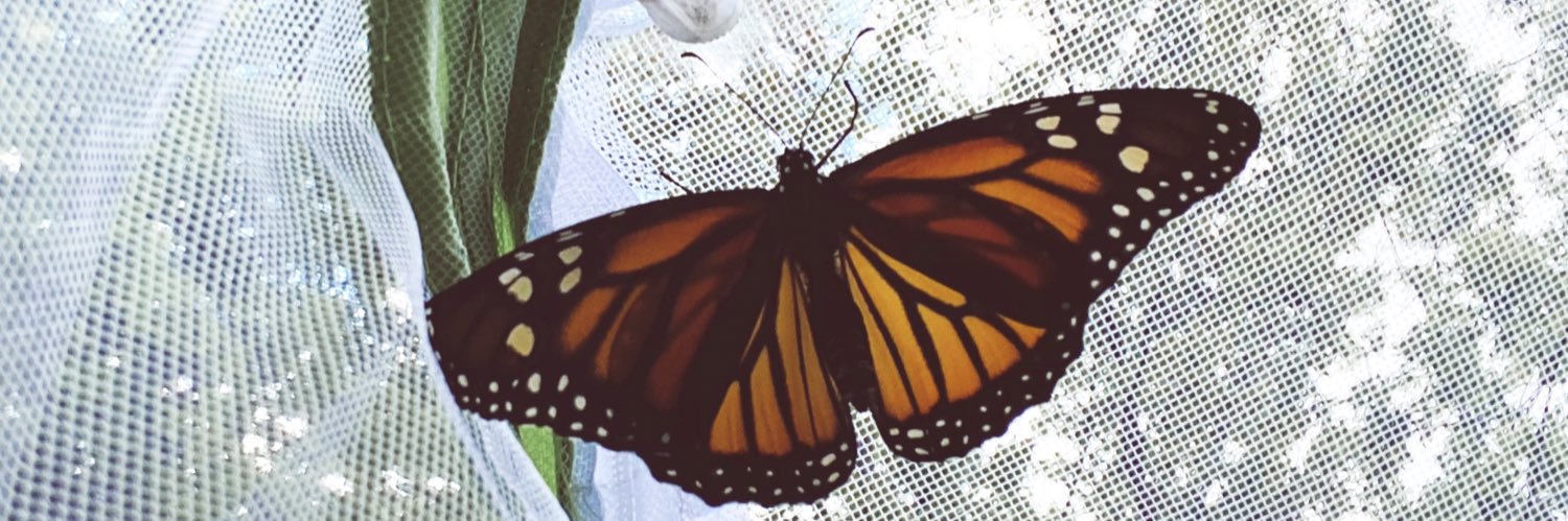 meagbarb's profile banner image