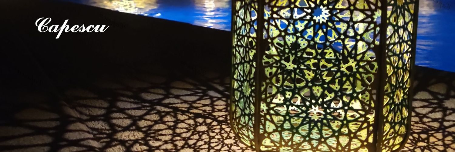 Capescu's profile banner image