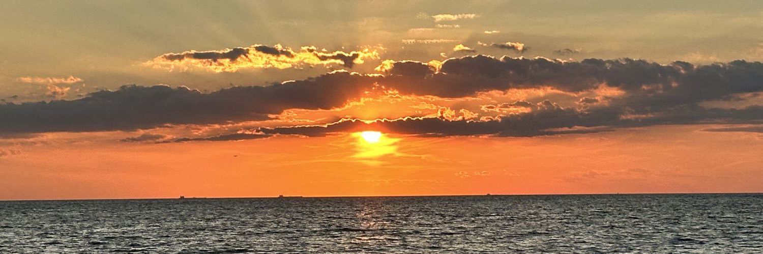 Silv_E_'s profile banner image