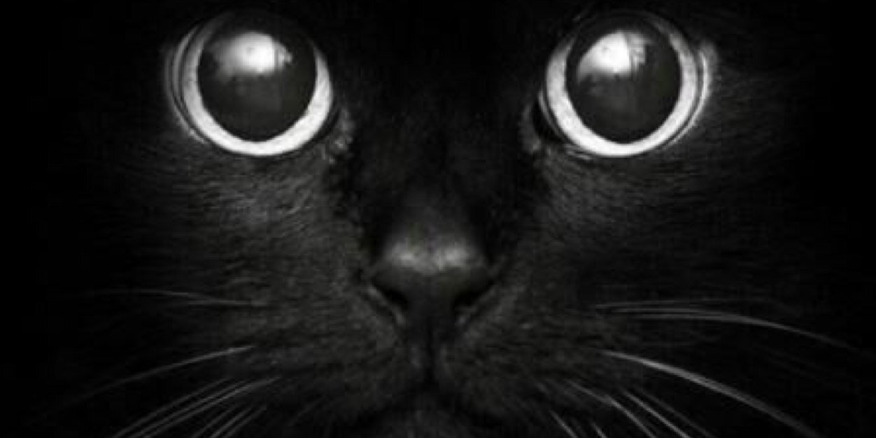 annaMely66's profile banner image