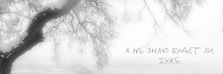 みんくん君の子 banner