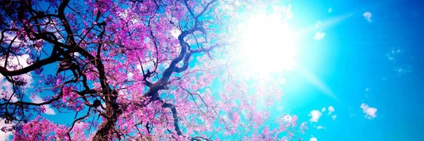 aoifeee17 Profile Banner