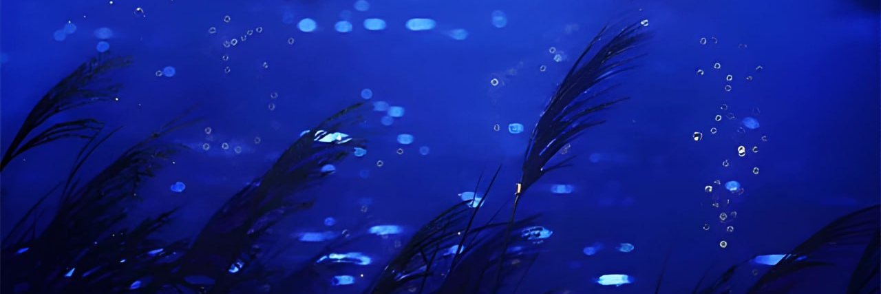 tewmz 🍉 banner