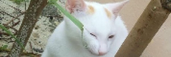 justdaveconect Profile Banner