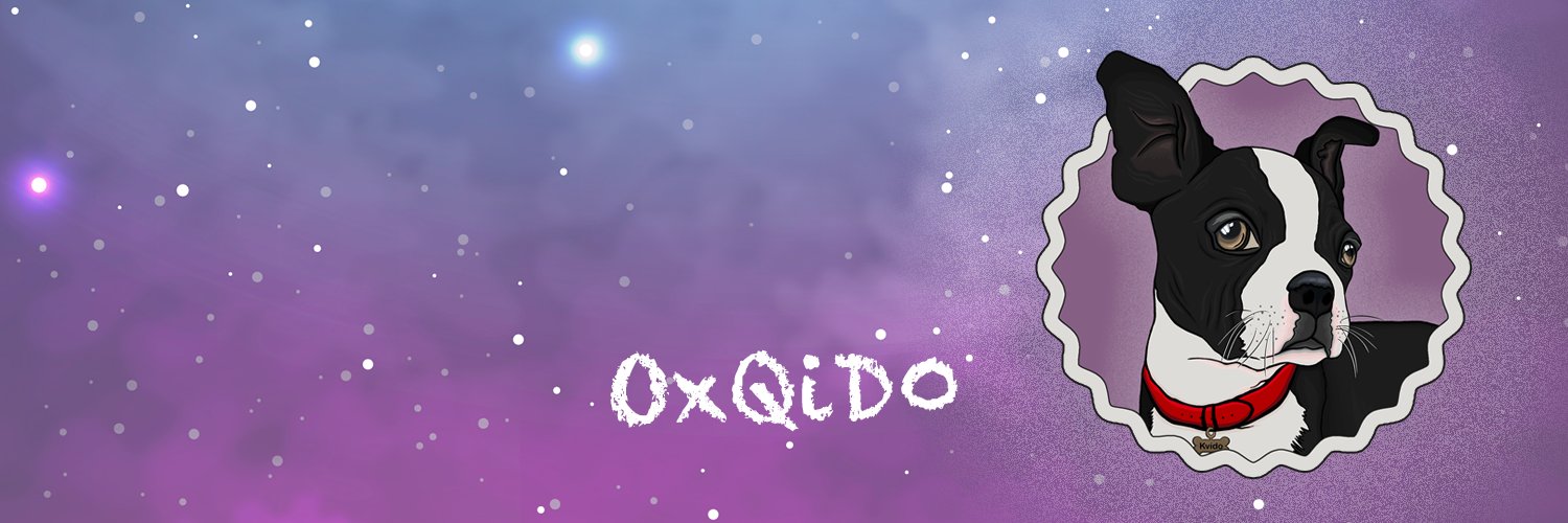 0xQido's profile banner image