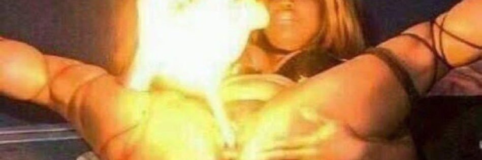 ★'s banner